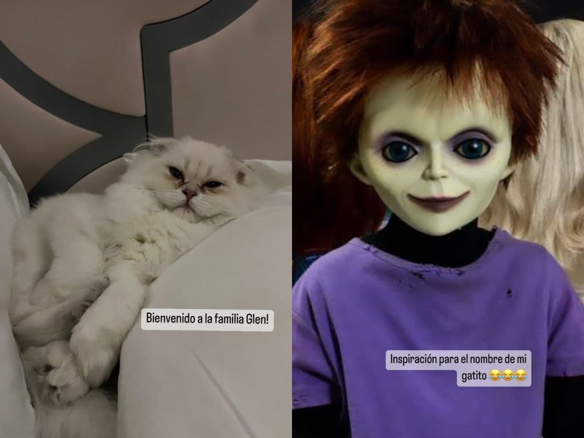 Belinda presume a su gatito Glen