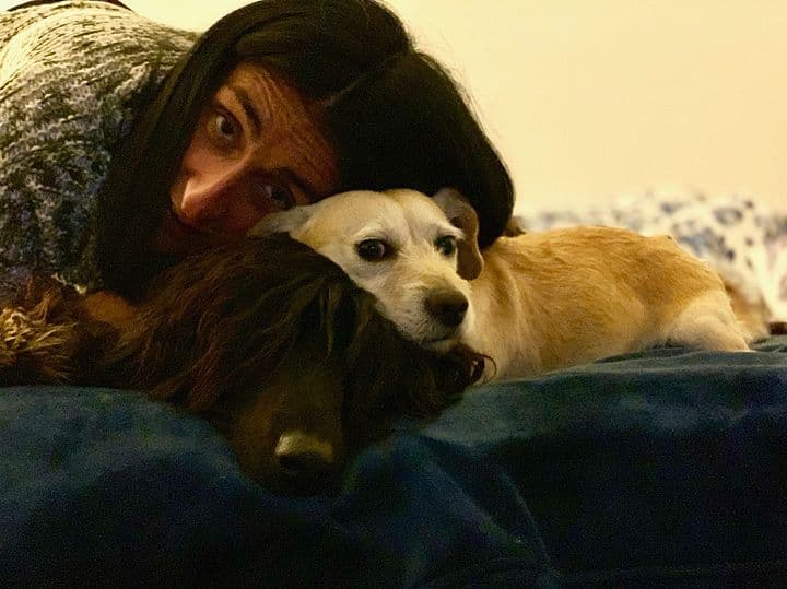 Roberto era la querida mascota de Bárbara Torres.