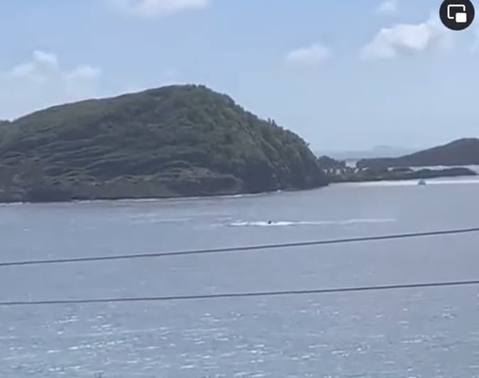 Después del impacto, la aeronave quedó flotando en el agua.