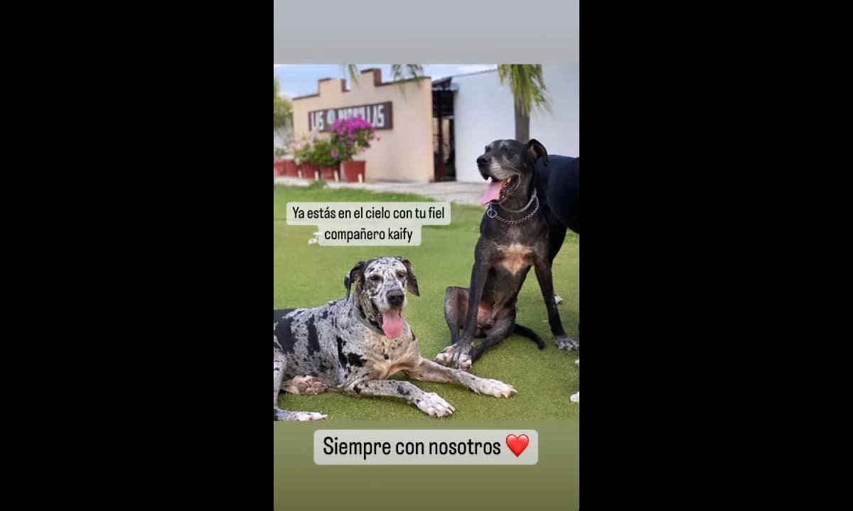 Jenny García acompañó sus palabras con emotivas fotografías