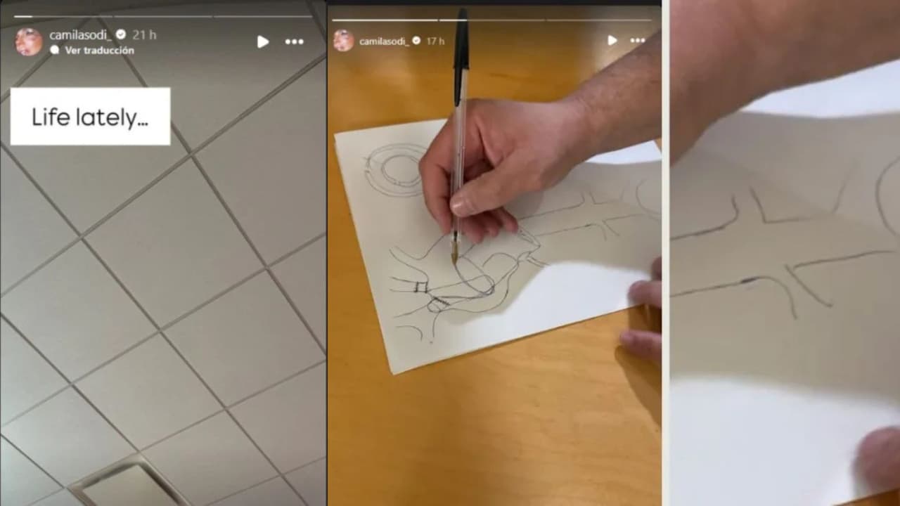 Camila Sodi comparte la explicación que le dio uno de los médicos de su madre Ernestina Sodi