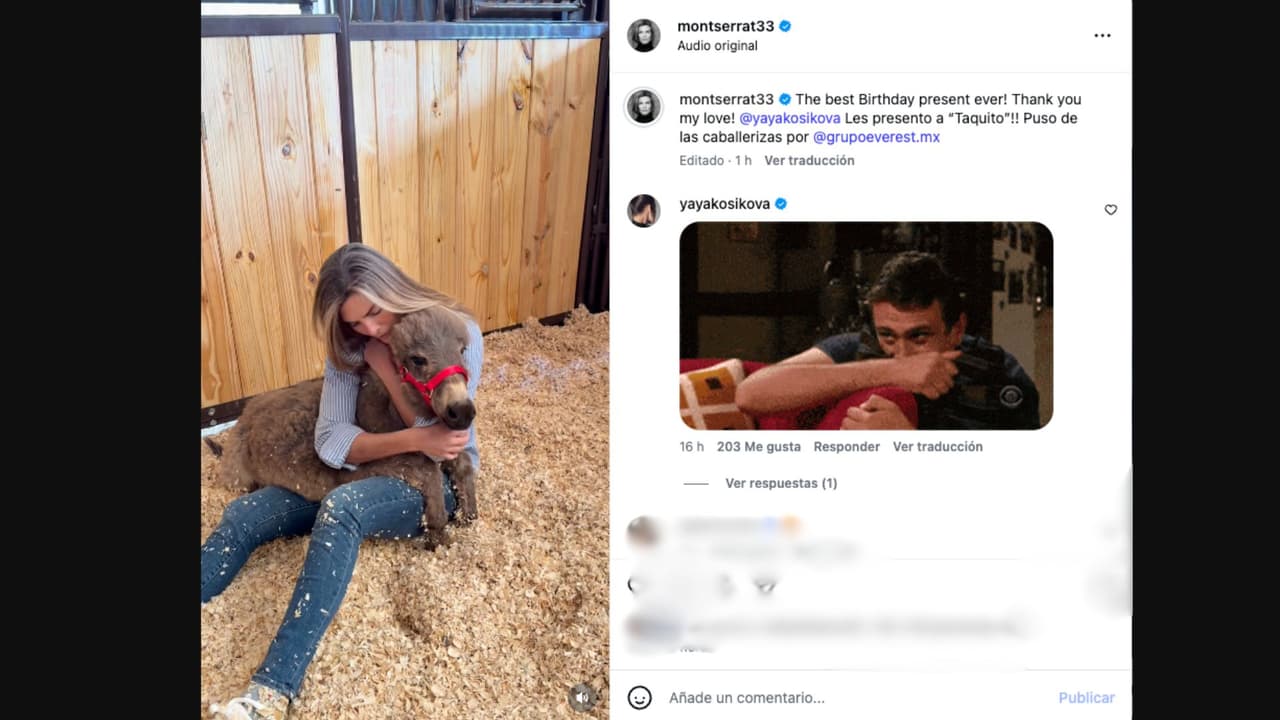 Montserrat Oliver presume el burrito que recibió como regalo de cumpleaños de su esposa