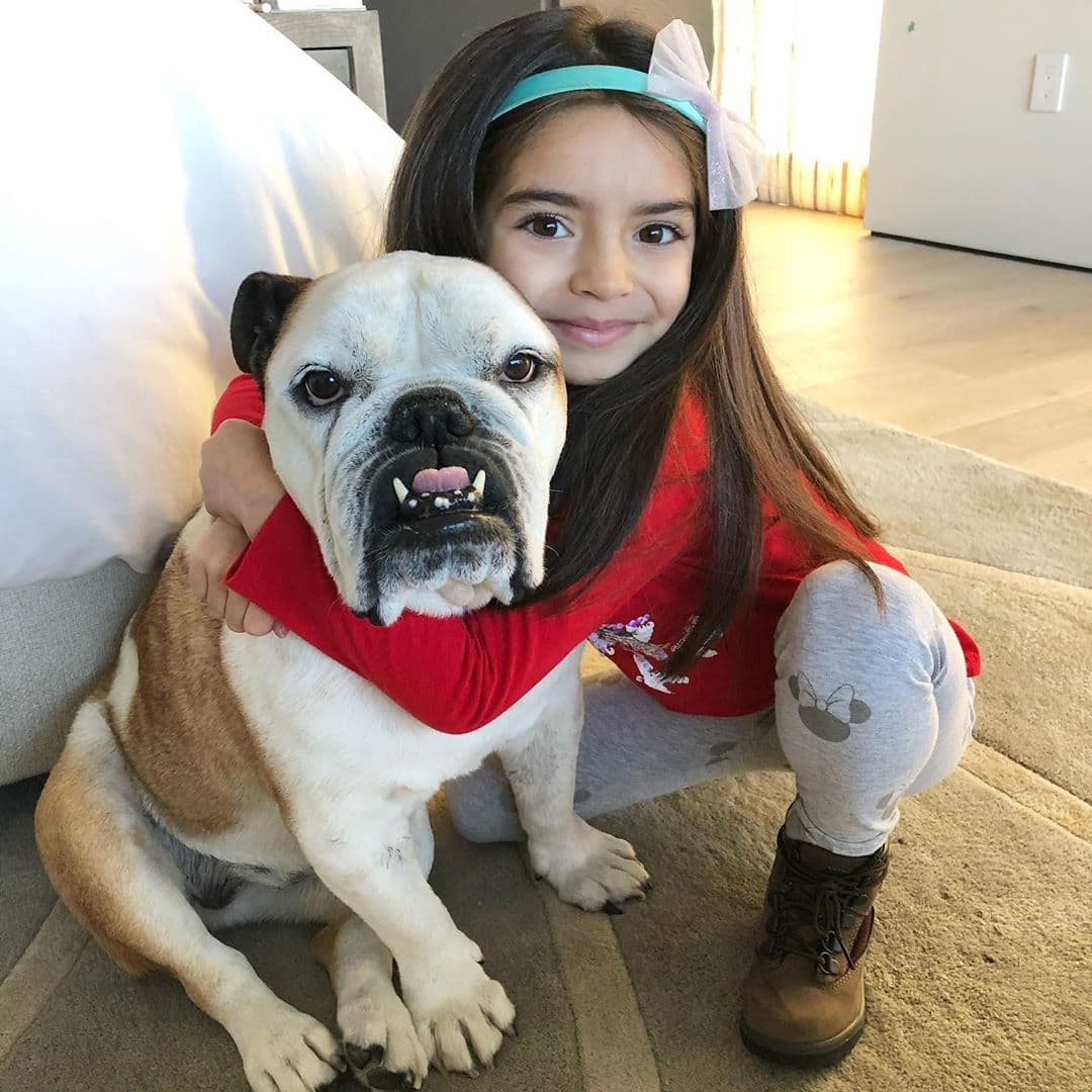 Alessandra Rosaldo celebró el Día Mundial del Perro con tiernas fotos de Aitana Derbez con su mascota Fiona, que recibió halagons por parte de los seguidores de la cantante.