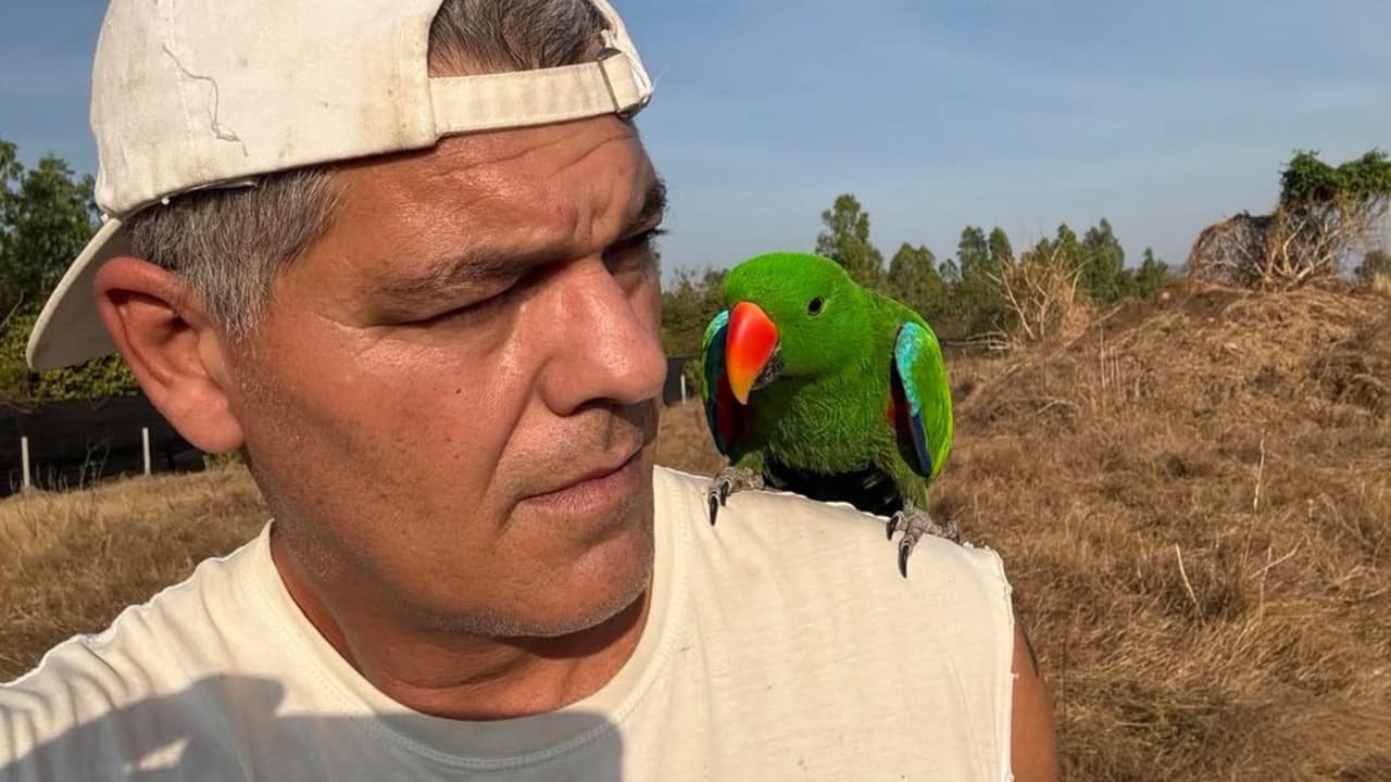 Youtuber recibe multa por posesión ilegal de animales: Debe pagar más de 17 mil pesos