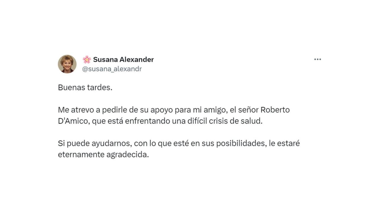 Susana Alexander se pronuncia por Roberto D'Amico.