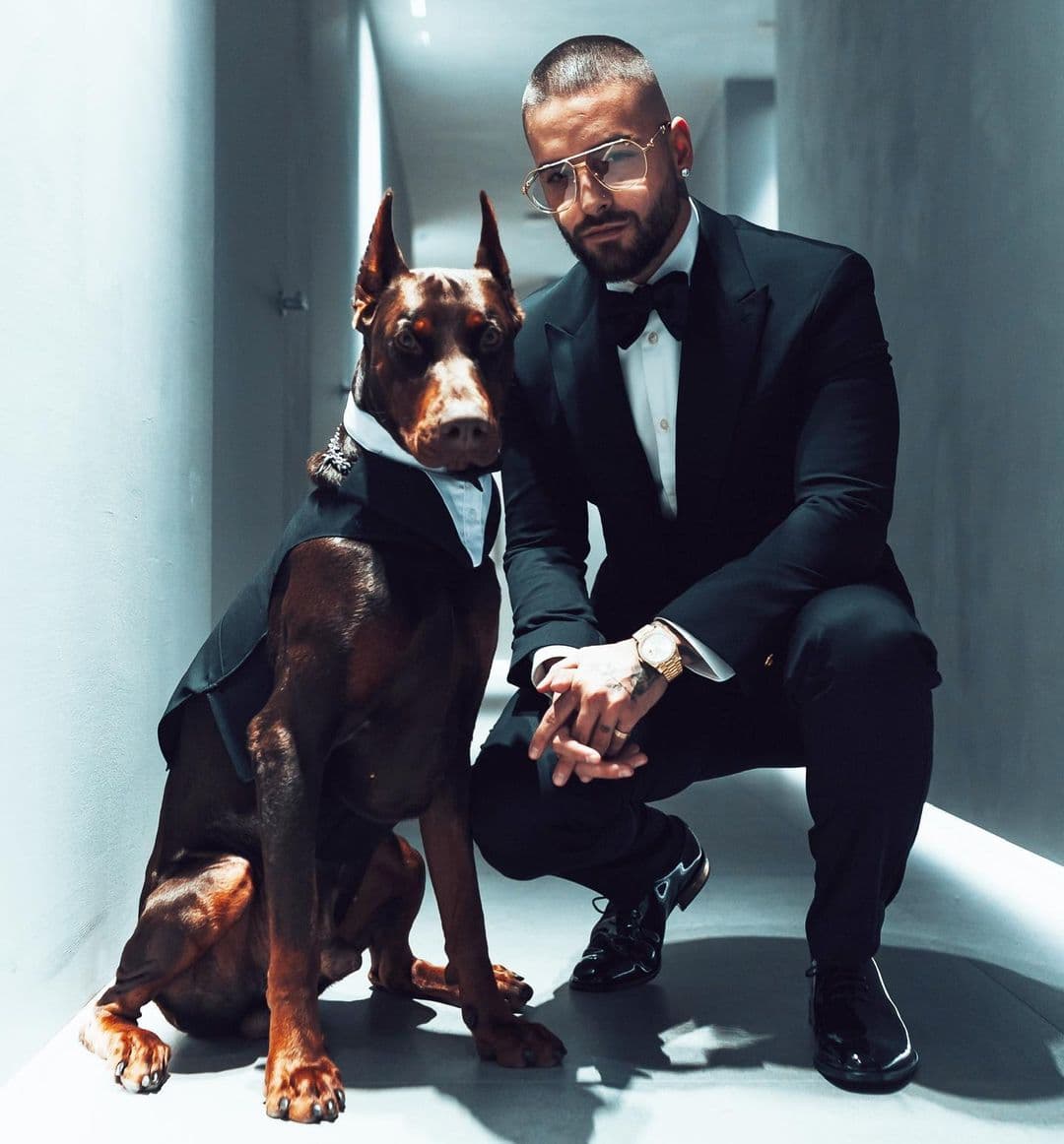 Maluma y otros famosos que han tenido incidentes con animales