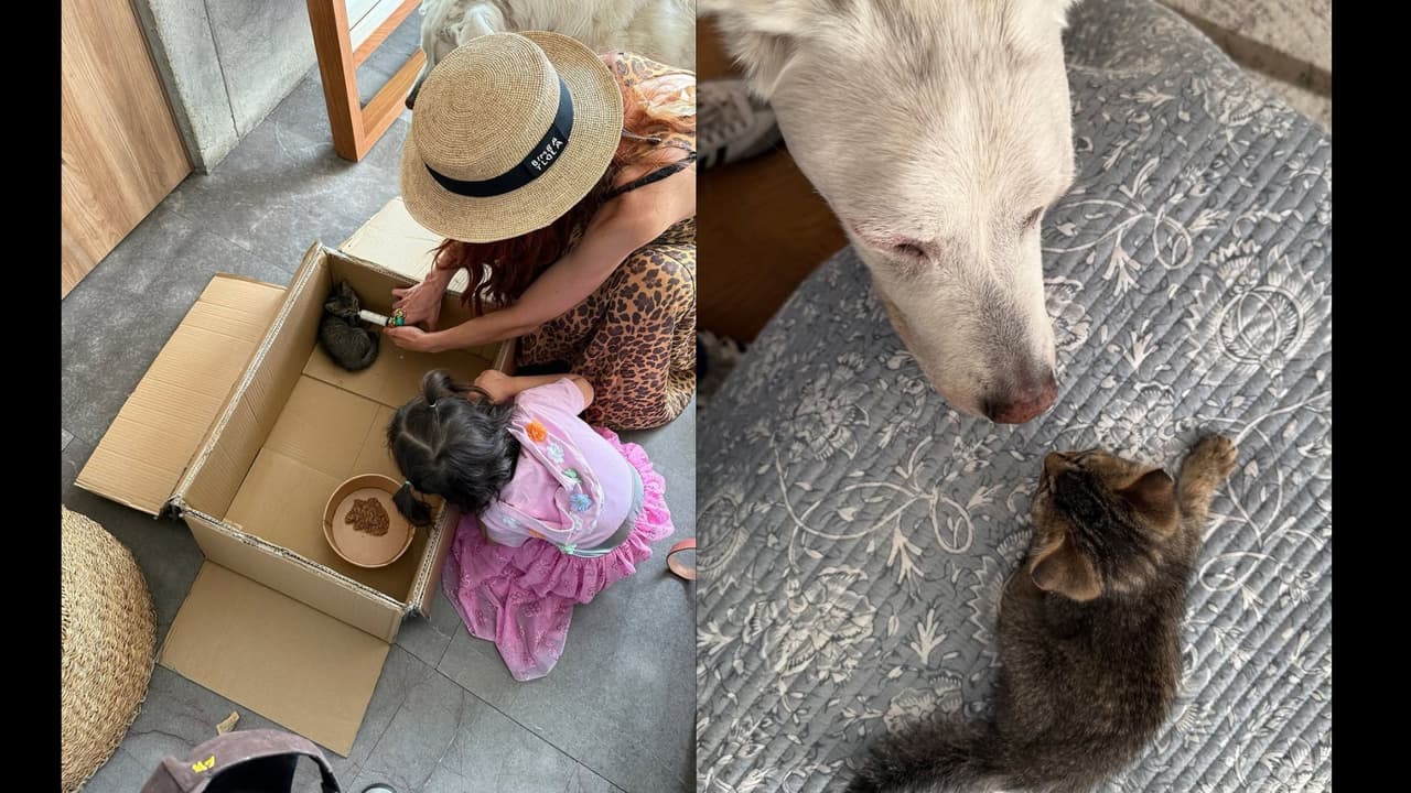 Natalia Téllez y su hija enternecen Instagram al cuidar de un pequeño gato