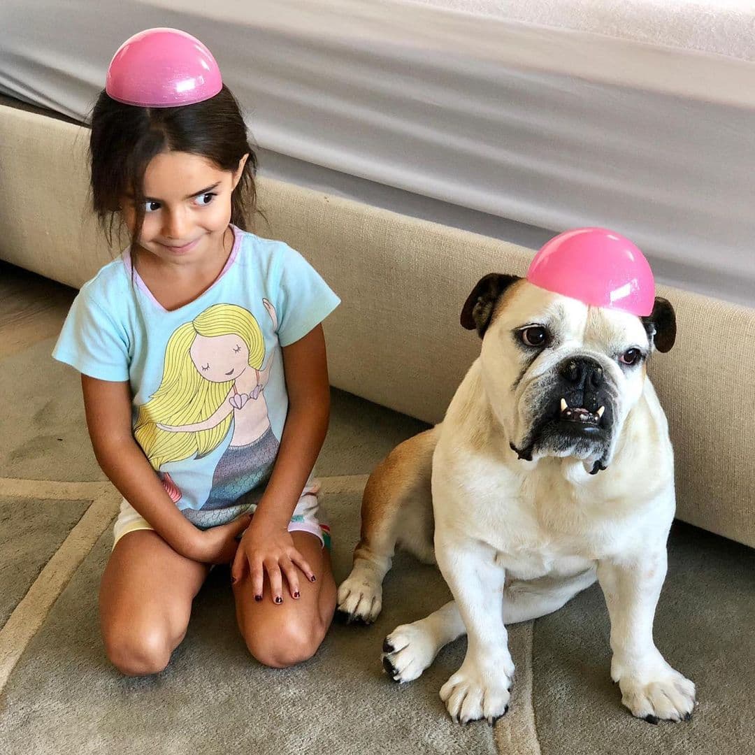 Eugenio Derbez - Si sigues al comediante mexicano en redes, seguro te has topado con Fiona, el bulldog de 9 años del que ha sido inseperable y que hoy es el compañero de juegos favorito de Aitana, la hija menor del actor. La mascota de la familia Derbez también tiene su cuenta de Instagram, en donde más de 120 mil personas siguen sus aventuras.