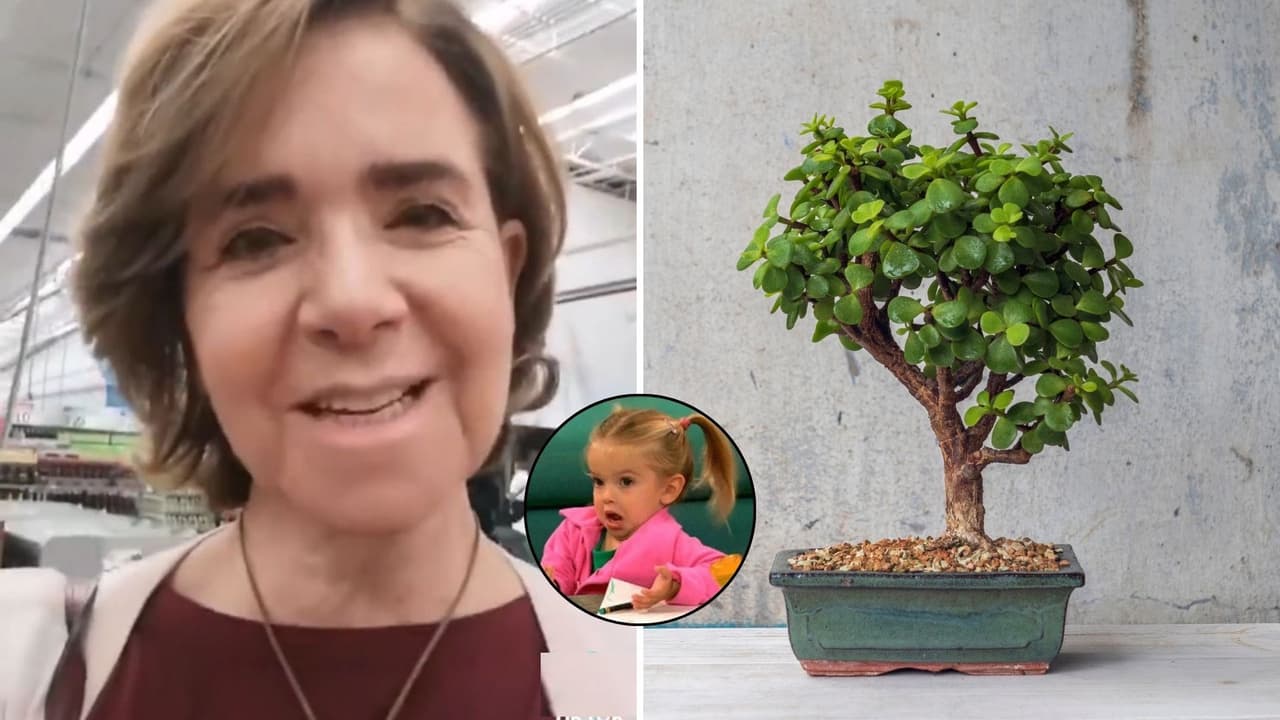 Mujer arremete contra tienda departamental por vender 'plantas anticristianas'