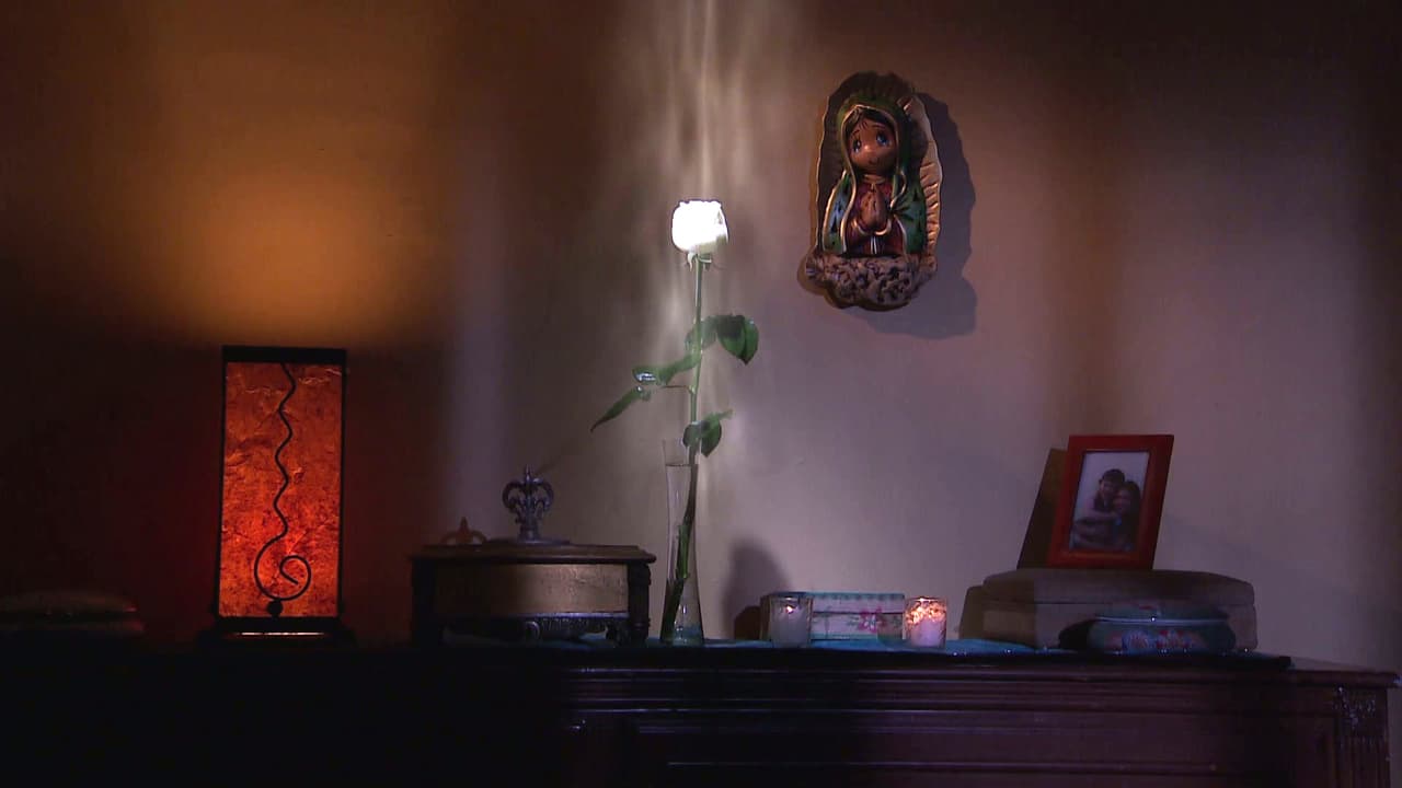 La Rosa de Guadalupe ¡llega a los 600!