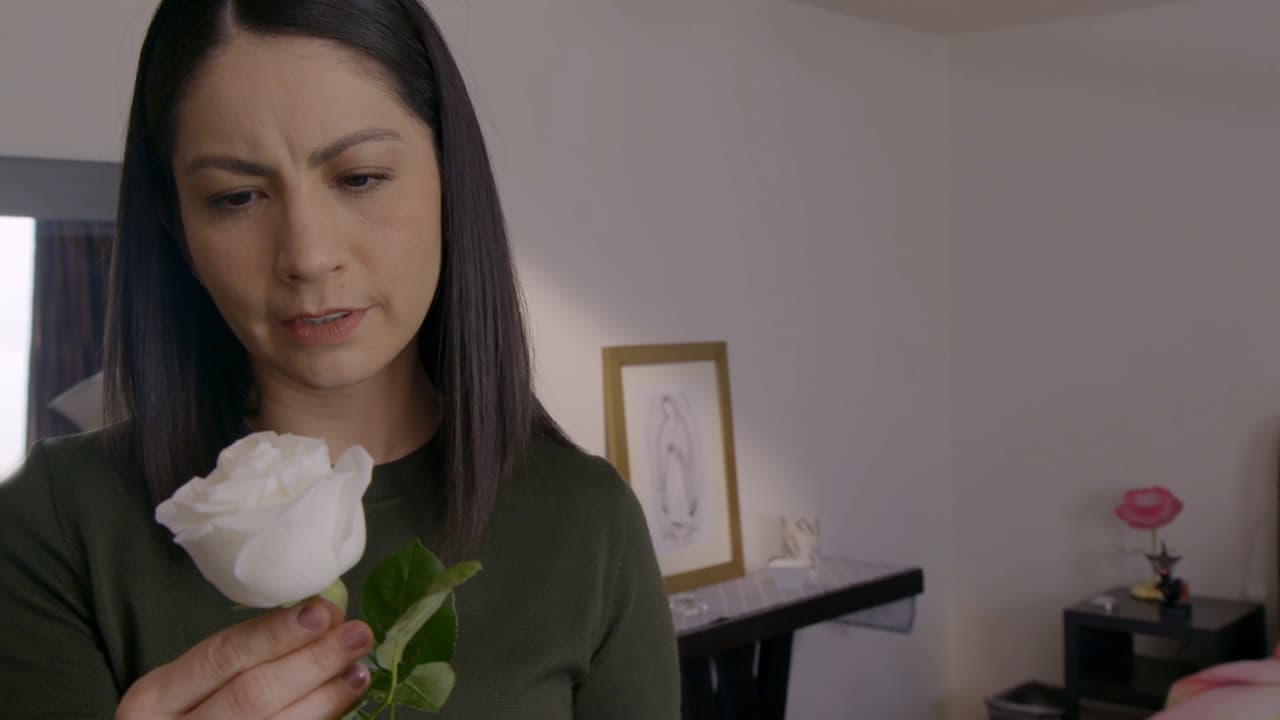 Maratón de La Rosa de Guadalupe: Revive los nuevos capítulos que se transmitieron esta semana