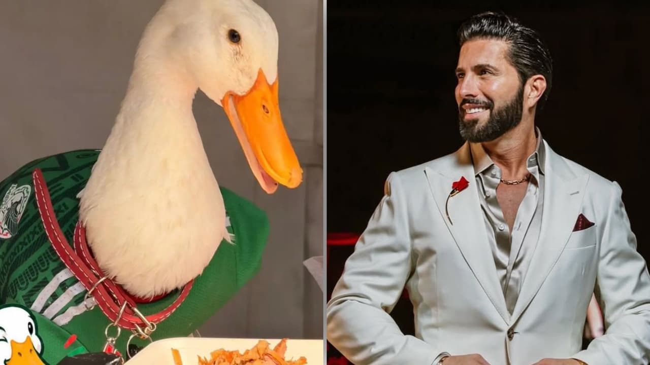 Familia del pato Merlín rechaza venderlo tras considerable oferta de Poncho de Nigris