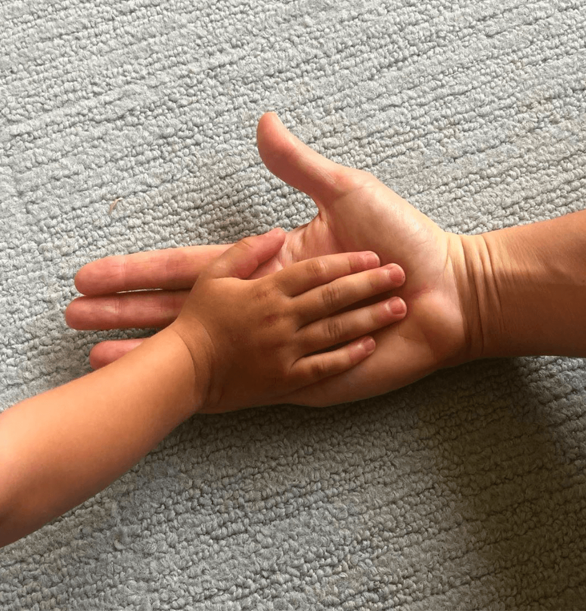 De la mano de uno de sus pequeños mellizos, es como Ludwika Paleta da a conocer que está en su hogar resguardando la seguridad de sus seres queridos. Para acompañar la foto escribió: “Cuídate y cuida a tu familia. Quédate en casa. Y ustedes, cómo se sienten con esta situación? #covid_19”.