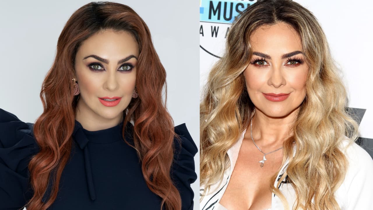 ¿Aracely Arámbula tiene romance con galán de telenovelas? Actor sorprende con respuesta