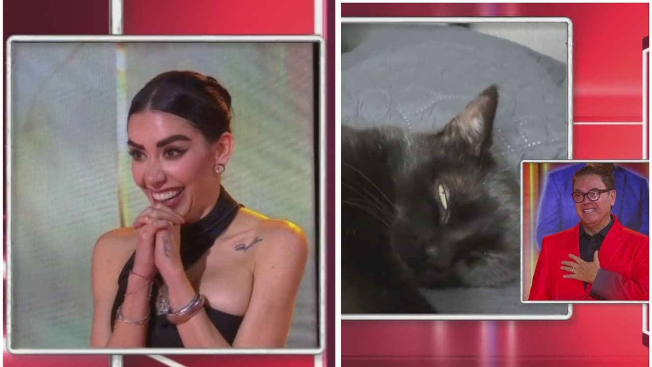 Karime habla con su 'hijo' y Mayito llora al ver a su gatita Alenka 'dentro’ de La Casa
