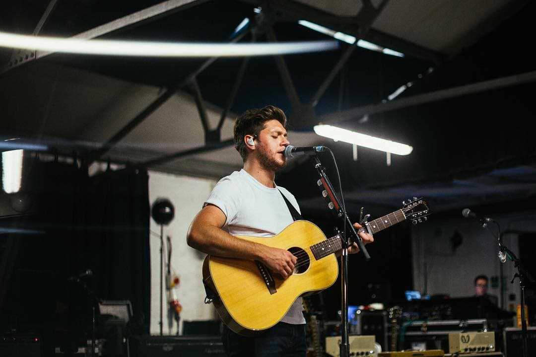 Niall Horan define su primer disco como solista bajo el Folk Pop, un género en el que predomina la guitarra acústica.