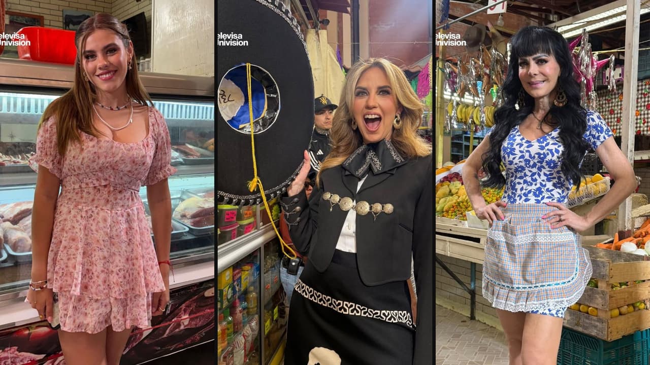 Elenco de la nueva serie 'Abelito de mi guarda'