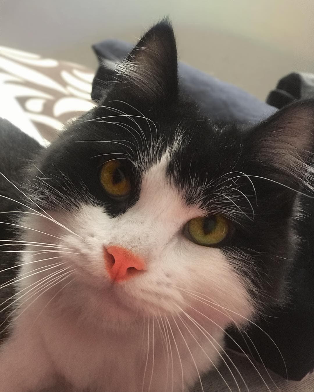 Le gusta armar planes con Bernardo y estar con sus amigos.