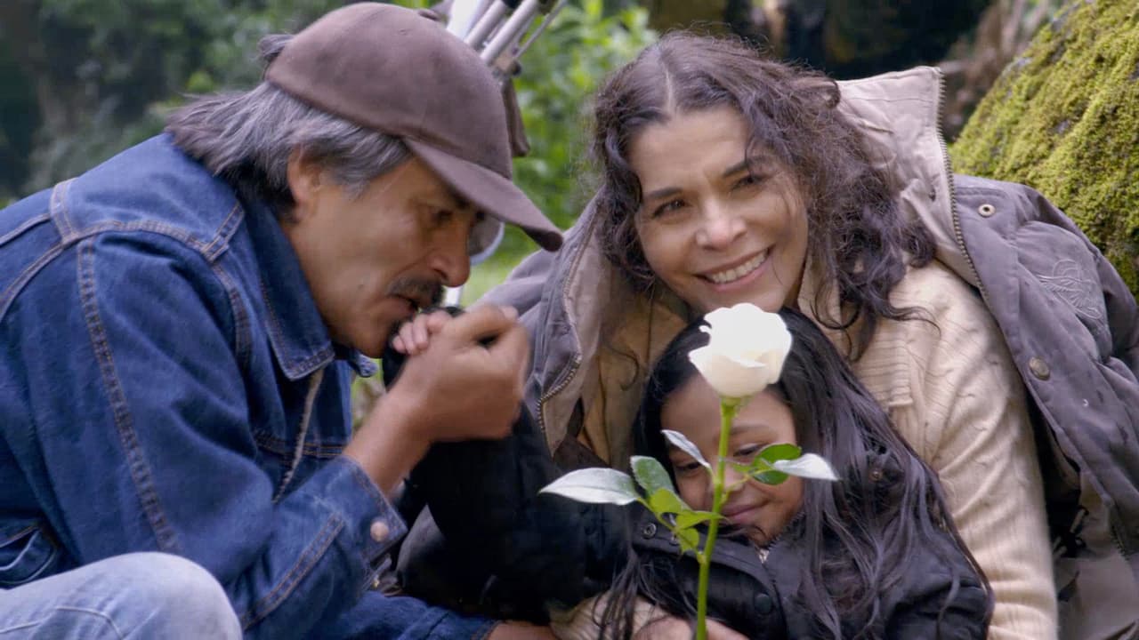 La Rosa de Guadalupe: Es momento de amor
