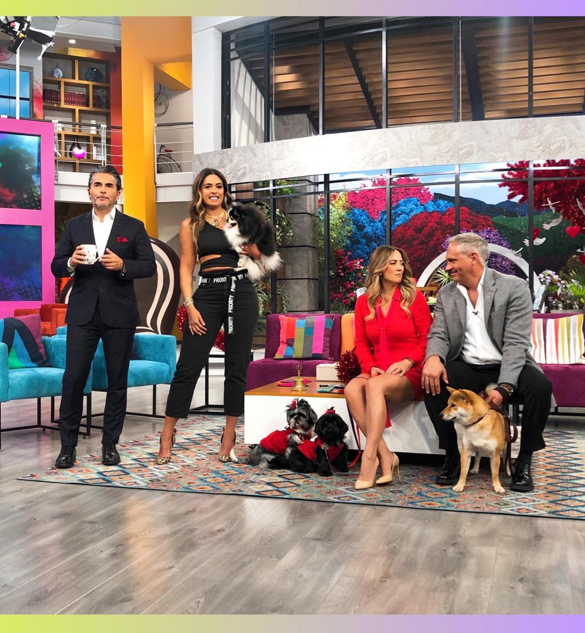 Andrea Escalola, Galilea Montijo y el resto de los conductores del programa Hoy son amantes de las mascotas. ¡Conoce a sus fieles amigos en estas fotos!