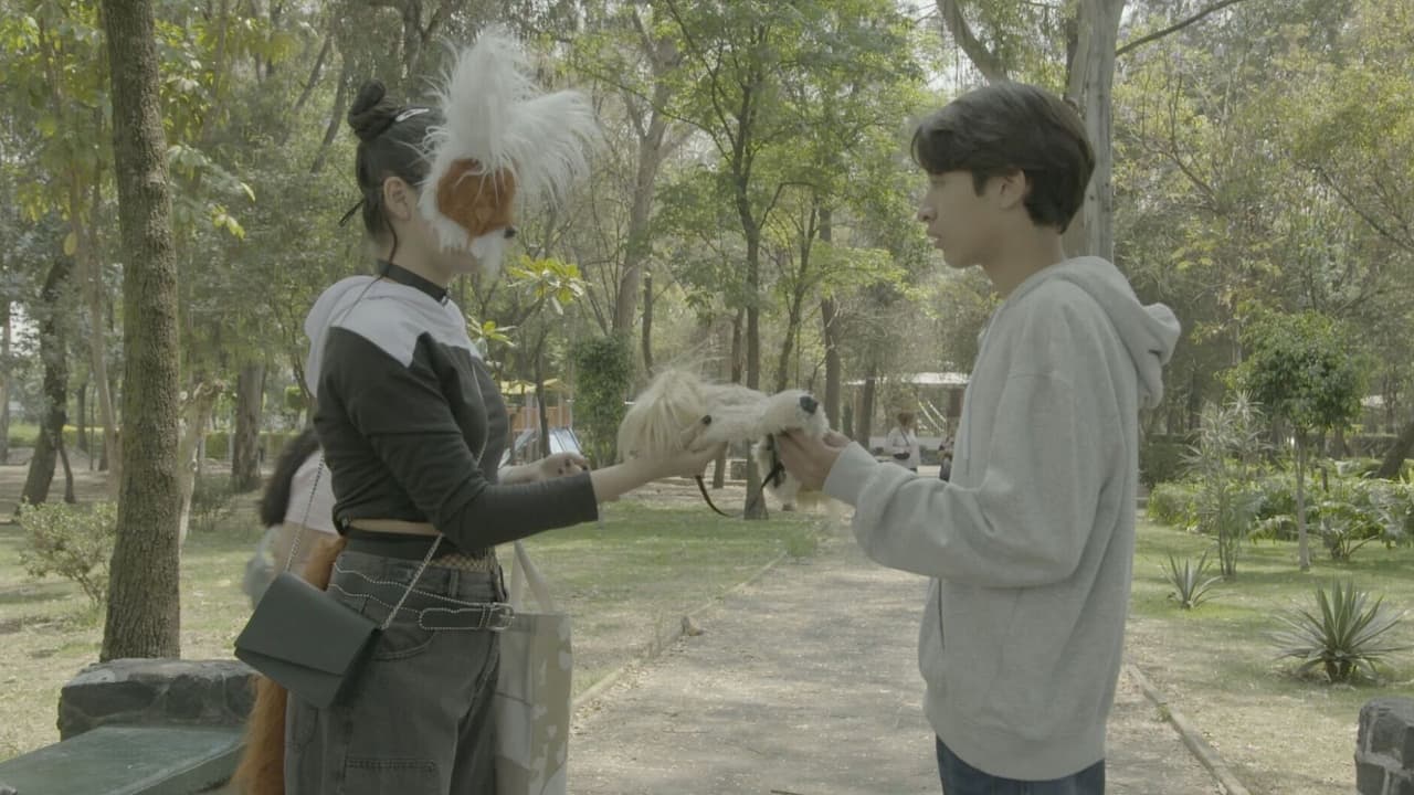 ¿Dónde y a qué hora ver hoy el capítulo de los Therians de La Rosa de Guadalupe?