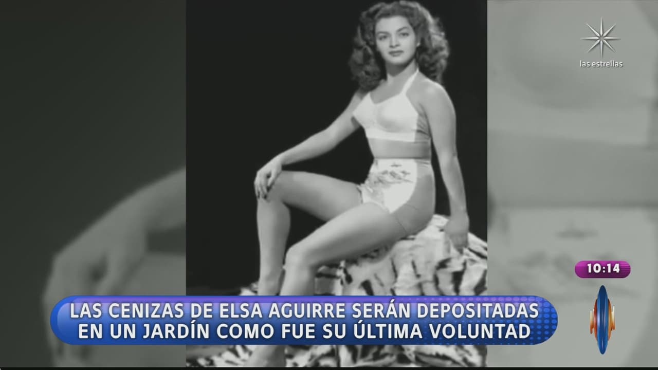 Revelan qué pasará con las cenizas de Elsa Aguirre.