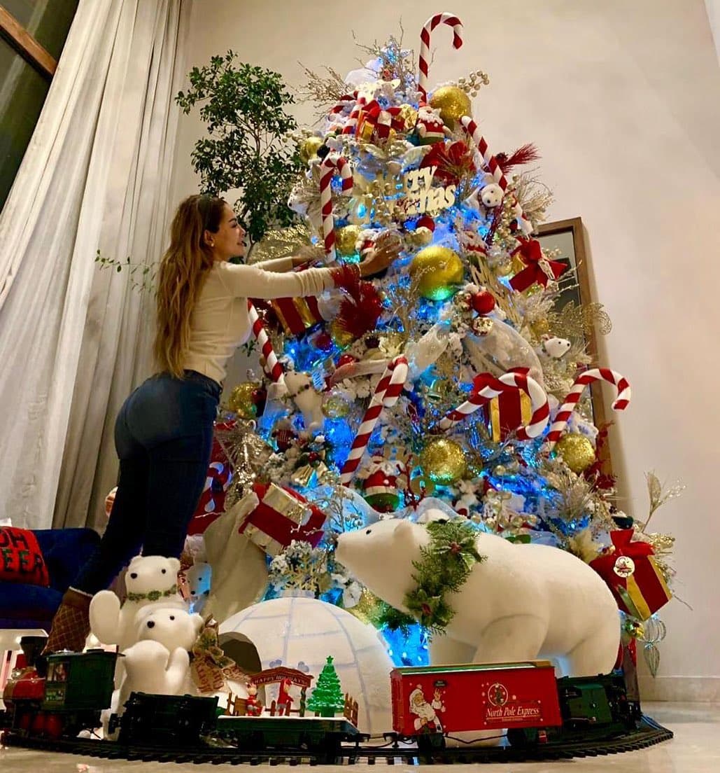 Ninel Conde tampoco dejó pasar la oportunidad de presumir su árbol de Navidad, el cual contó con bastones enormes, esferas doradas, regalos y osos polares. “No olvidemos que el verdadero significado de la navidad es el mayor acto de amor hacia nosotros”, compartió.