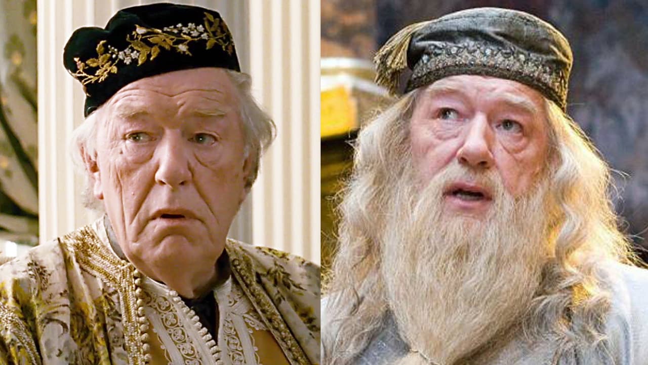 Otros personajes que Michael Gambon volvió icónicos además de Dumbledore en 'Harry Potter'