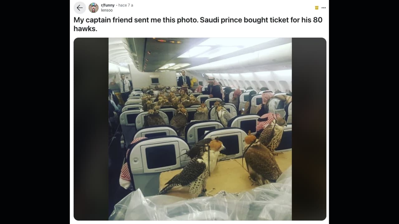Príncipe de Arabia Saudita compró un boleto de avión para cada uno de sus halcones