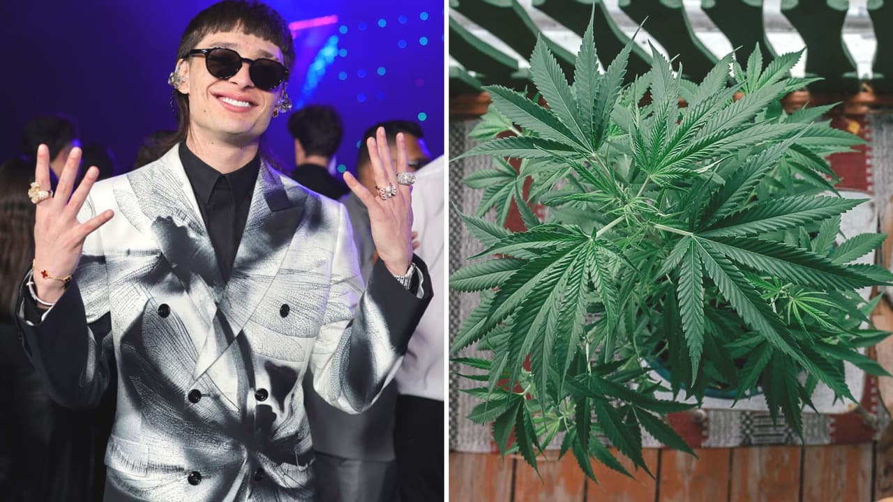 Empresa de cannabis medicinal hace que sus plantas crezcan con música de Peso Pluma