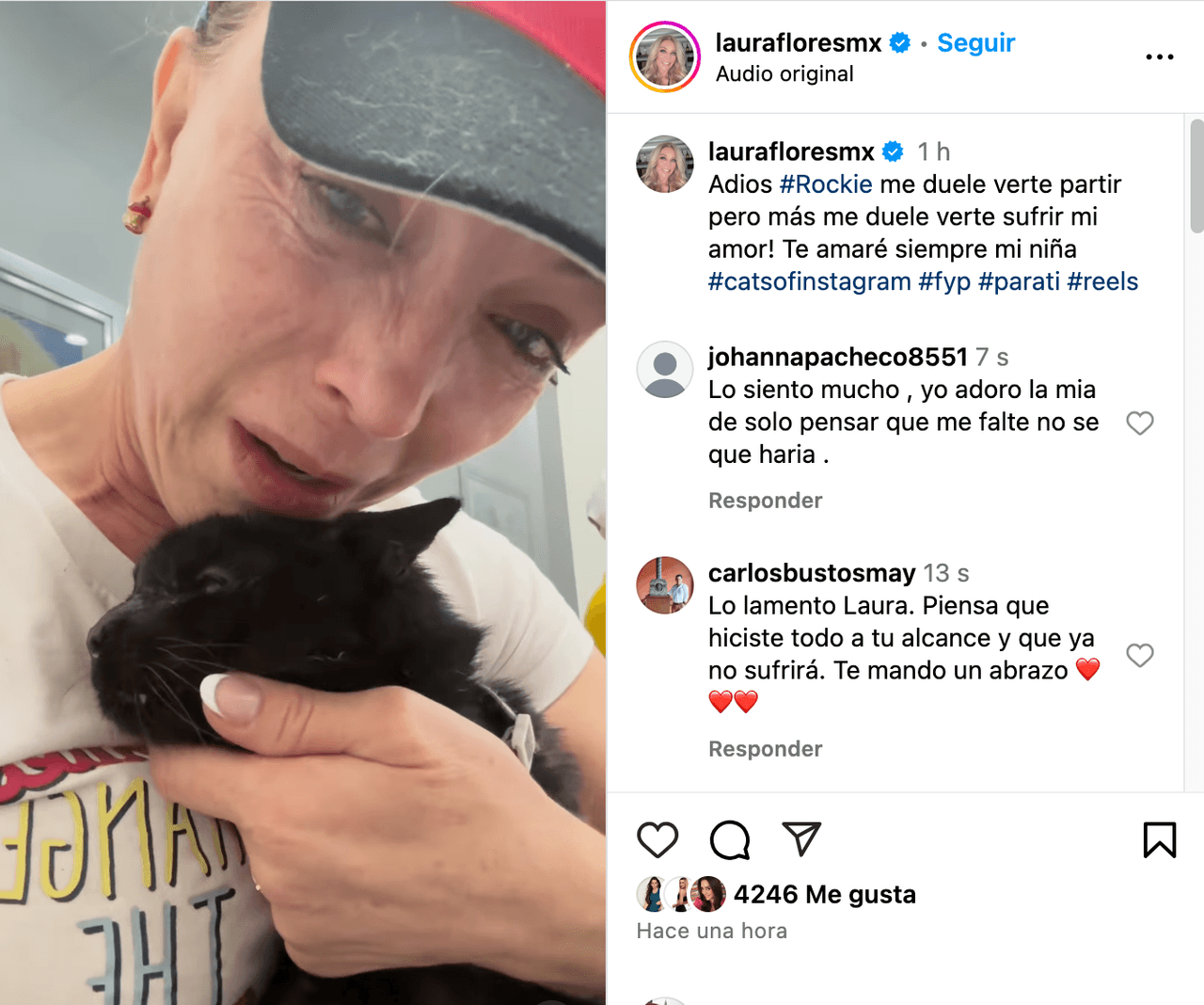 Laura Flores aparece llorando, mientras enfrenta la muerte de su mascota