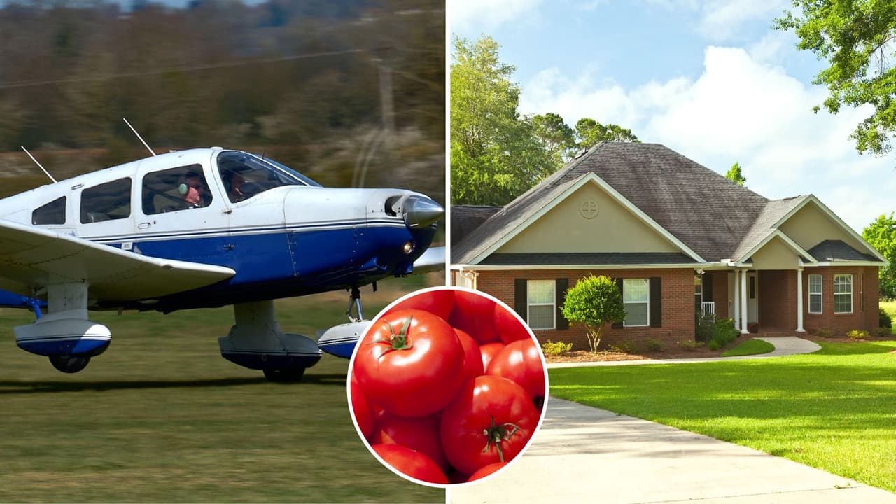 Hombre arroja tomates a la mujer que le gusta desde una avioneta: ¿acoso o romanticismo?