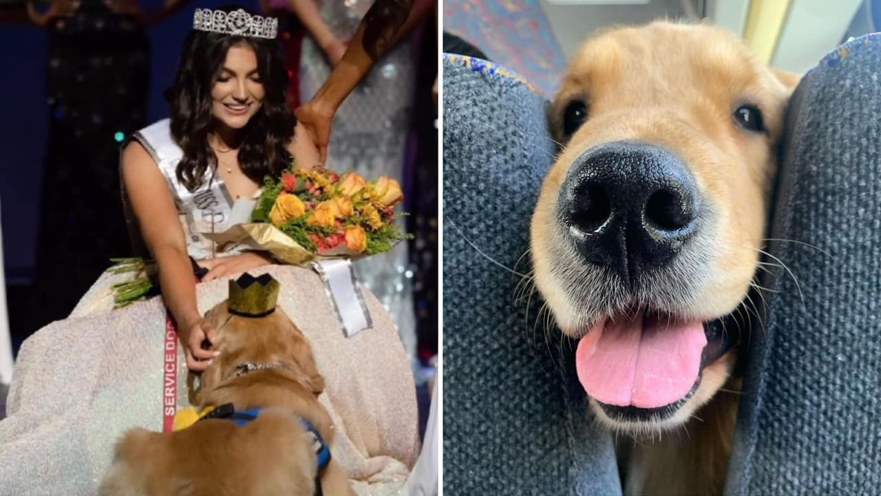 Joven con epilepsia gana concurso de belleza, ¡y su perrito de servicio también es reconocido!