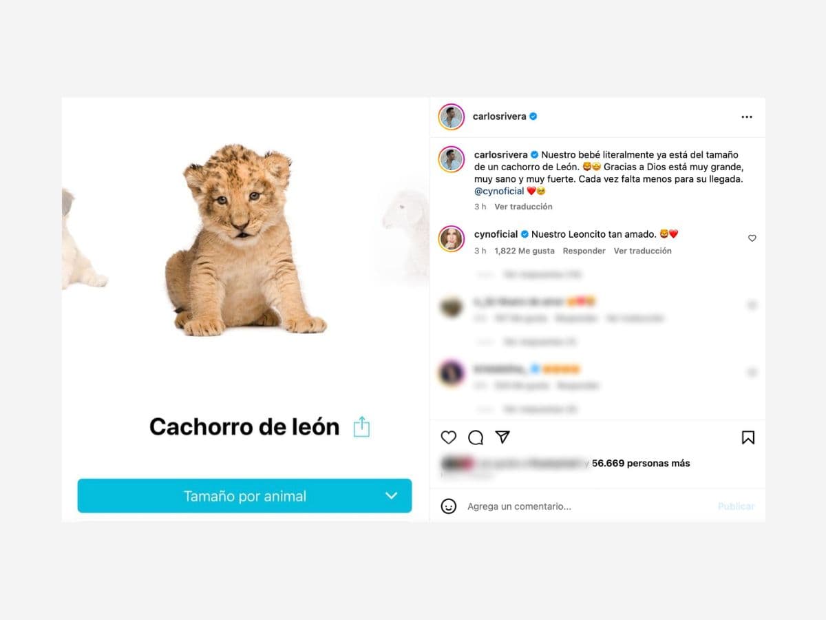 Con ayuda de una aplicación, Carlos Rivera supo qué tamaño tendría en la actualidad su bebé.