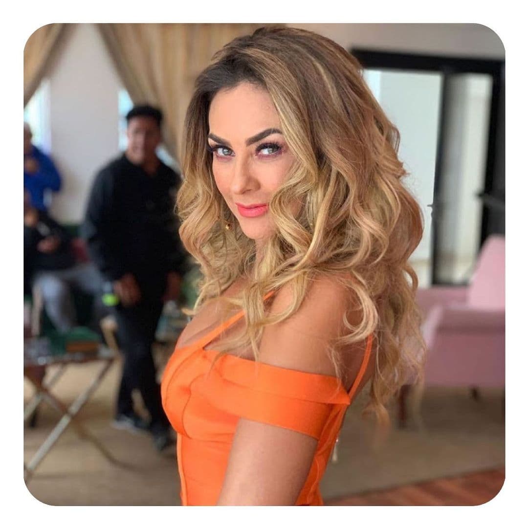 Aracely Arámbula deja sin aliento al exhibir cinturita y vientre de impacto en arriesgado top