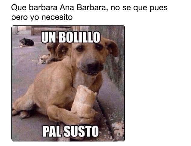 Además de que saludó a la bandera, rompiendo el protocolo.