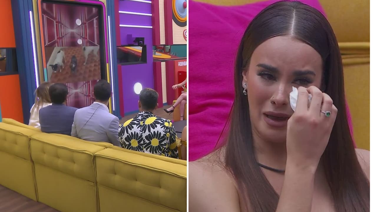 Gala lloro al ver el video de sus perritos en 'La Casa de los Famosos México'