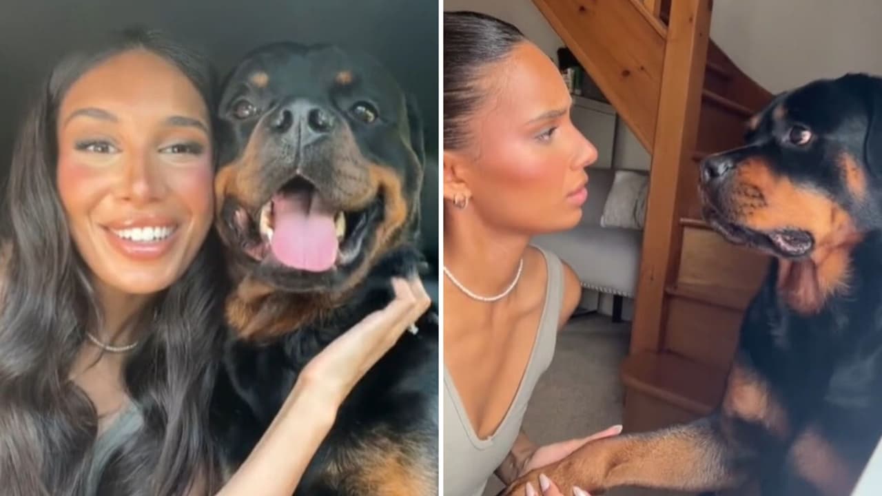 Perrita imita a su dueña haciendo las mismas caras que ella: "parecen gemelas"