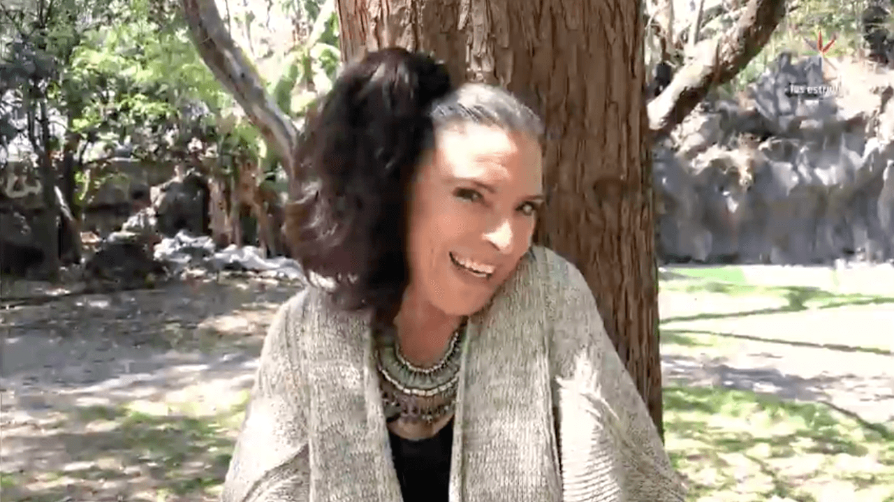 ¿Por qué debería ganar La Rosa de Guadalupe el Premio TVyNovelas?