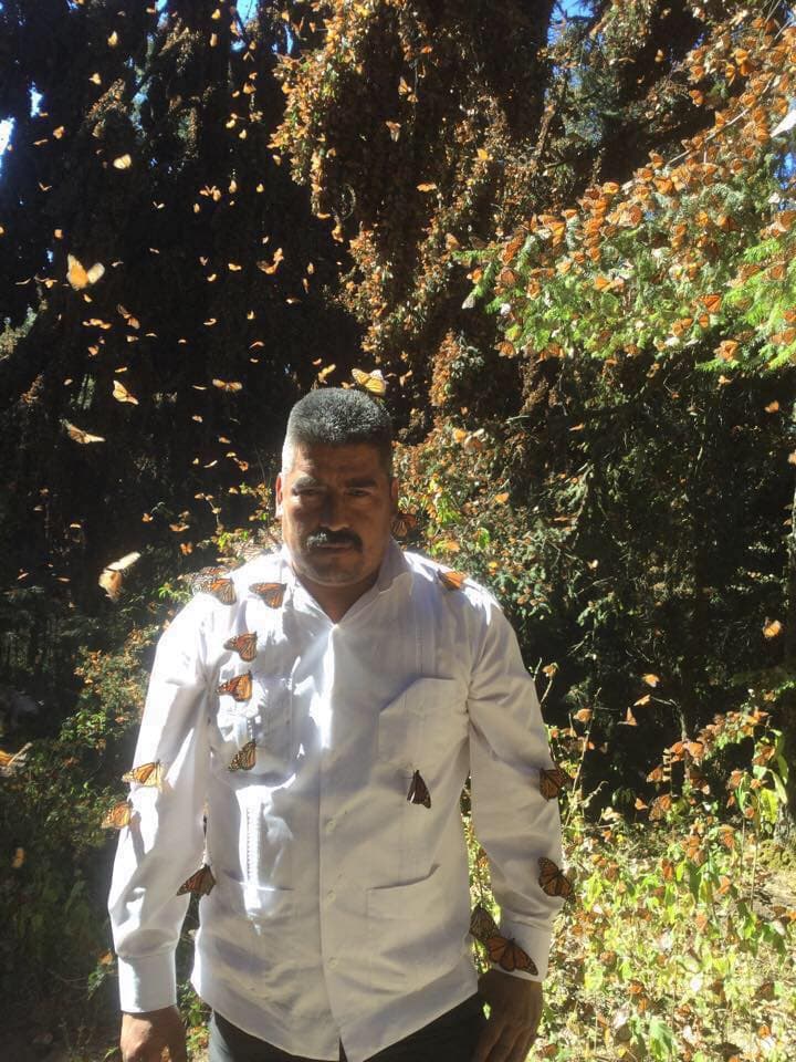A través de Facebook, Homero Gómez compartía las actividades del santuario de la mariposa monarca en Michoacán, México