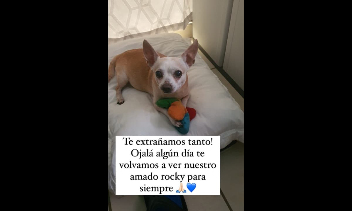 Los seguidores del actor se conmovieron con las palabras