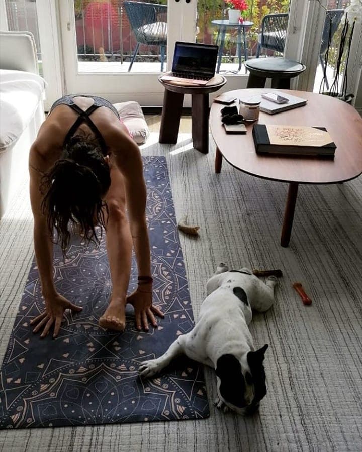 Y en medio de la pandemia que vive el mundo, parece que su relación se ha fortalecido más, pues los dos transmiten, a través de su Instagram, cómo pasan la cuarentena en compañía de su perrita Chata. 
<br>