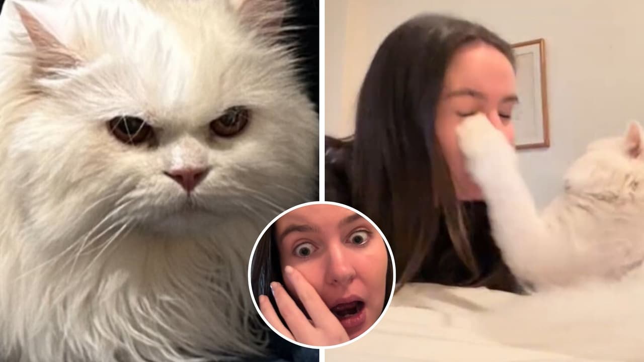 Joven queda ciega tras jugar de cerca con su gata: la historia de cómo pasó se hizo viral