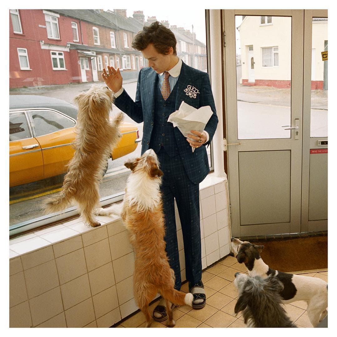 Esta sesión de fotos está inspirada en el pasado, la ropa, la escenografía y los animalitos de compañía. ¡Muy original!