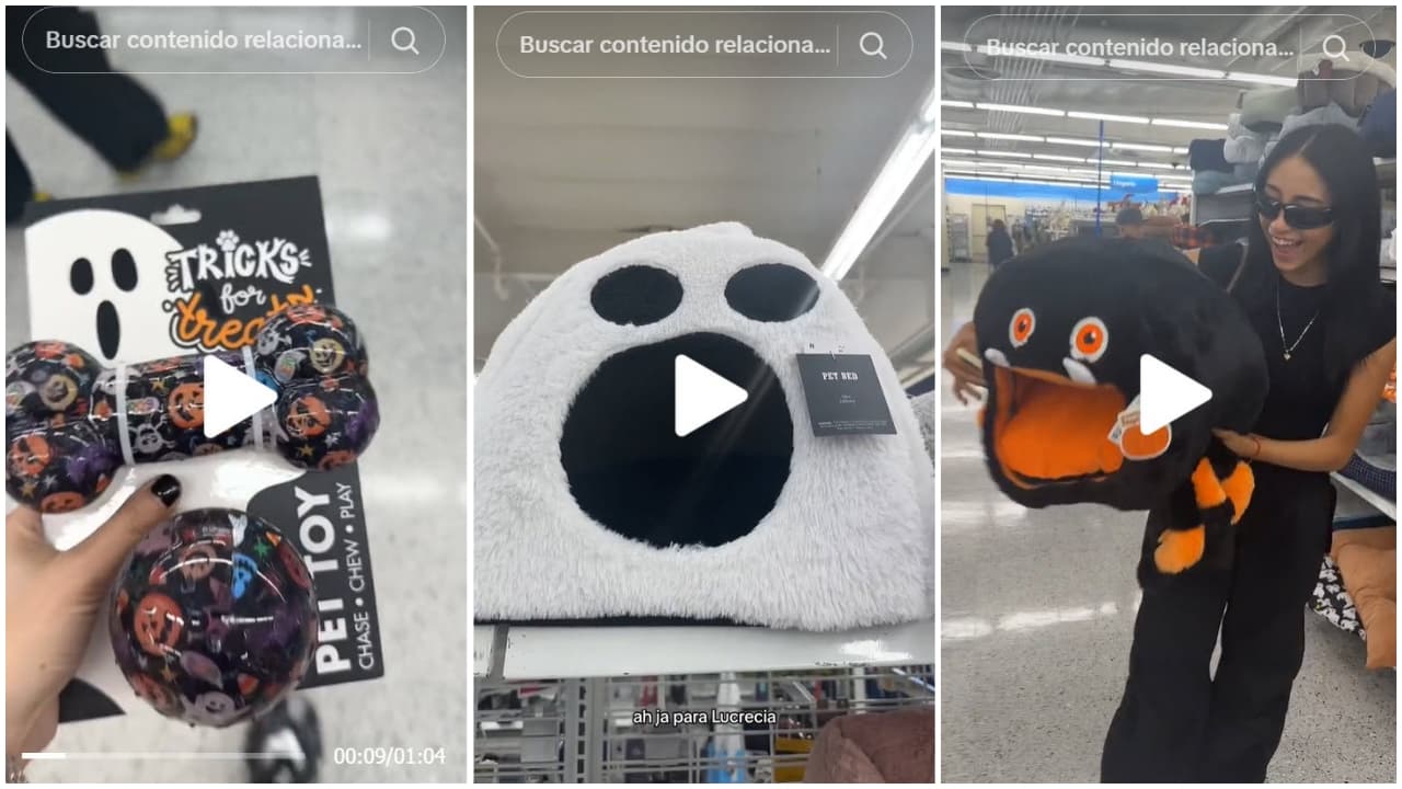 Danna Paola quedó encantada con los artículos de Halloween