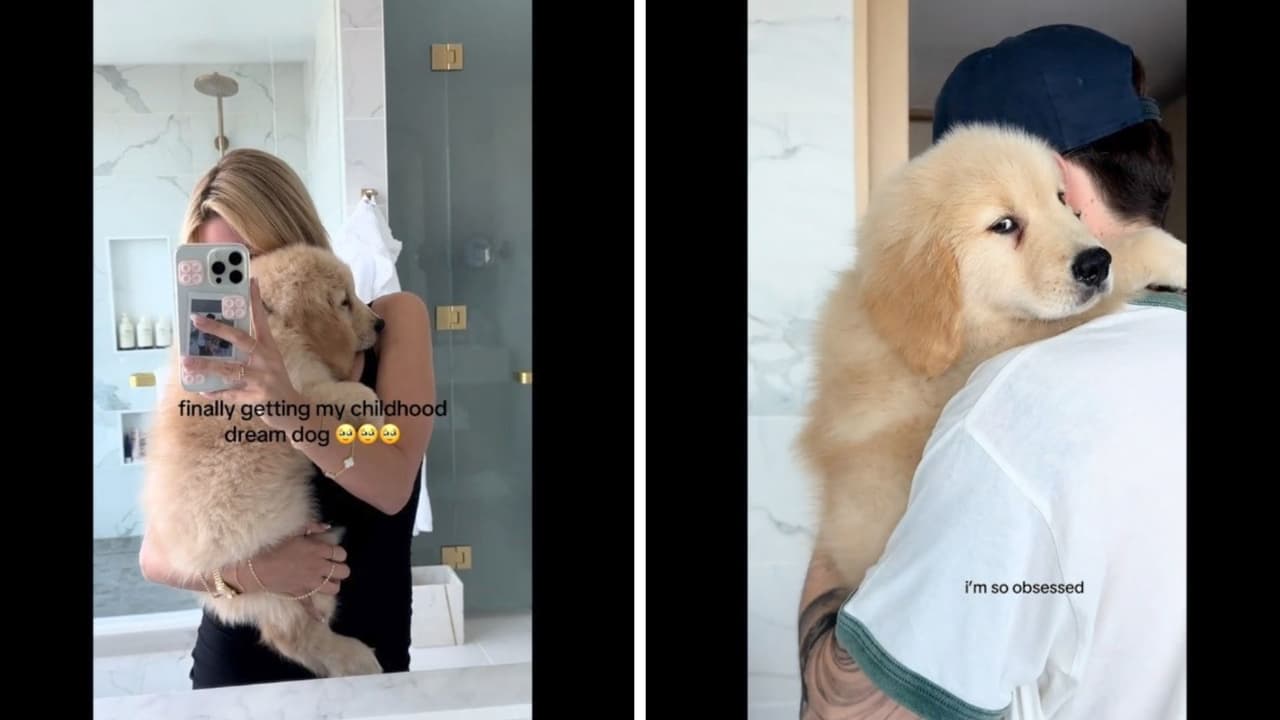 En agosto de 2024, Hanna Howell compartió el perro que le obsequió Peso Pluma