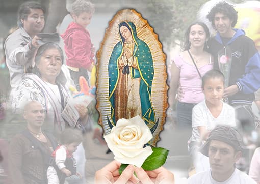 La Rosa de Guadalupe, relatos de impacto.