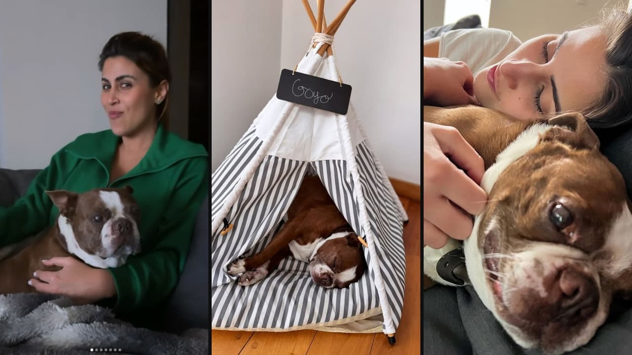 Sofía Rivera Torres anuncia la pérdida de su perro Goyo
<br>