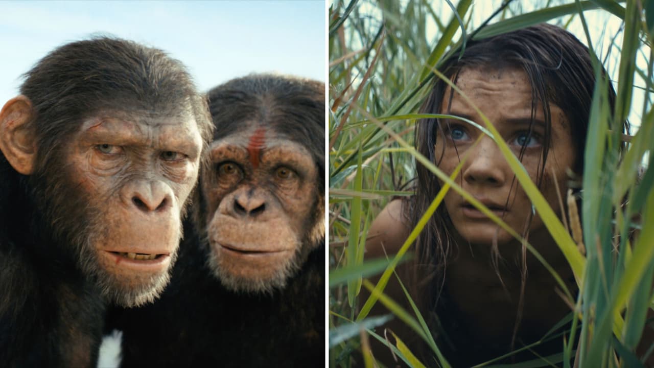 ¿'El planeta de los simios: nuevo reino' tendrá secuela? El director lo aclara