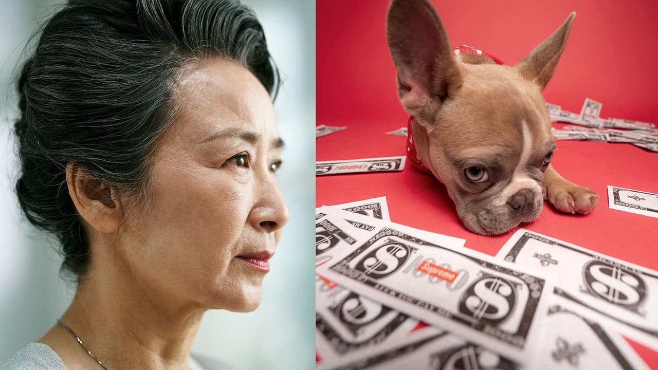 Mujer china hereda fortuna millonaria a sus mascotas y abre debate sobre humanizar a los animales